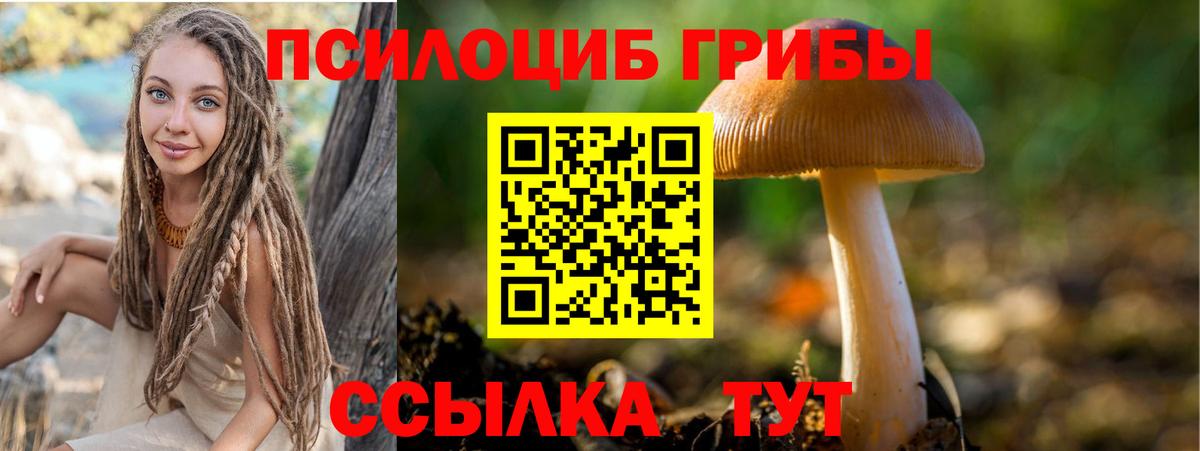 Галлюциногенные грибы GOLDEN TEACHER  Вход с VPN  Калач-на-Дону 